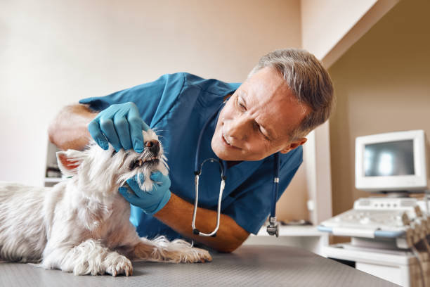 Best Walk-In Emergency Dentist in Charlack, MO